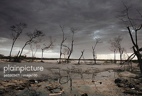 destroyed rural landscape after storm stock images page everypixel