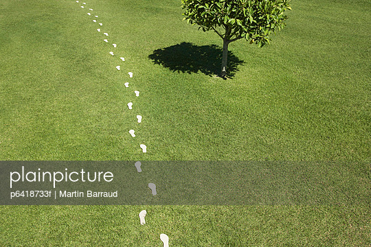 Trail of footprints across grass