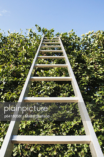 Ladder Photo A ladder alone outdoors - Stock Image - Everypixel