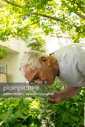 Leisure in the Garden XVIII - p888m763983 by Johannes Caspersen