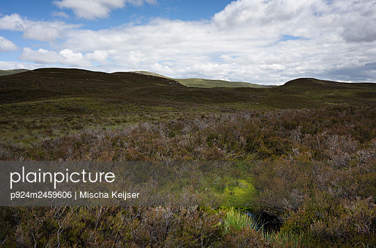 UK, Scotland, Bushes growing in hilly landscape - p924m2459606 by Mischa Keijser